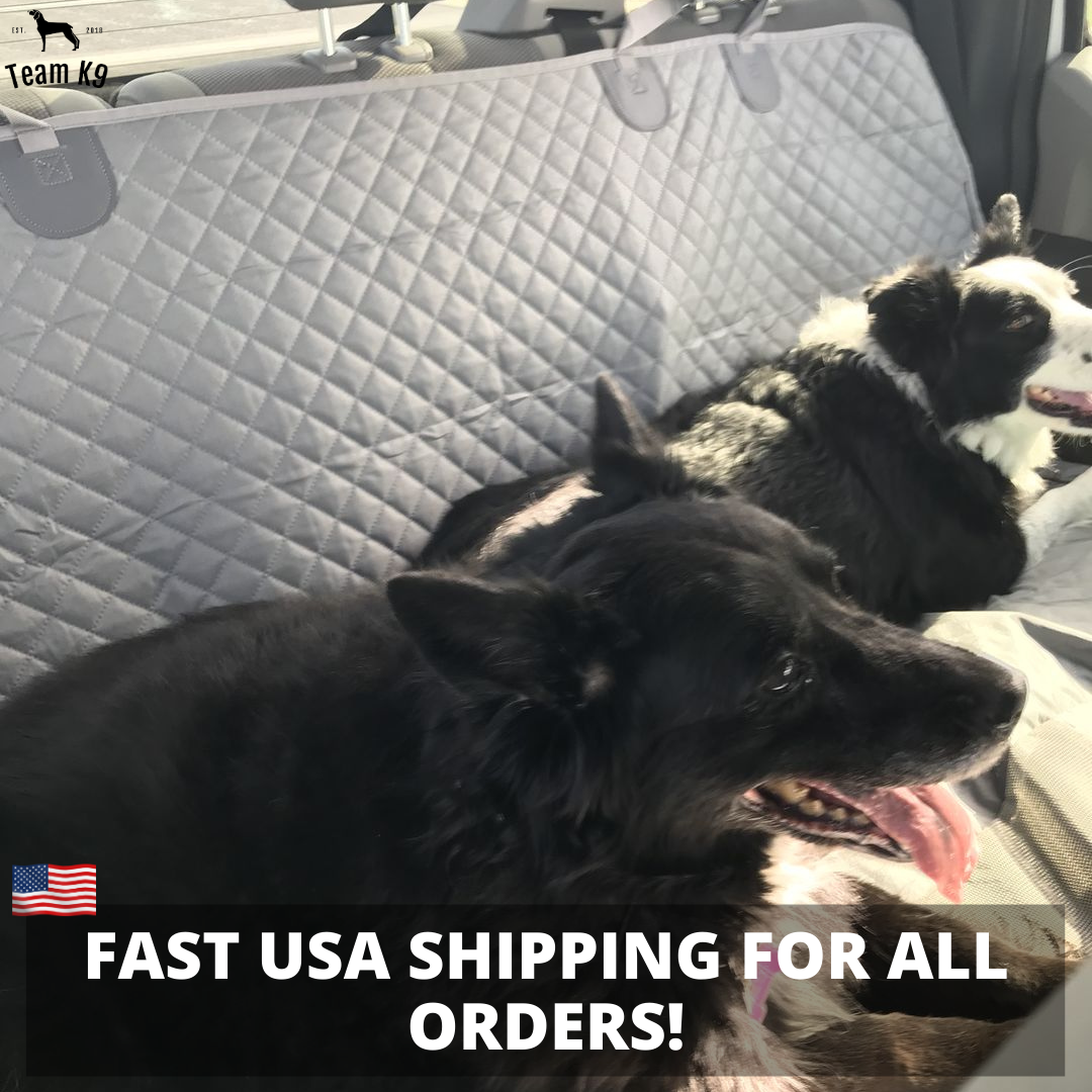 Waterproof Non-Slip Car Seat Hammock Cover With Pockets, Side Flaps, Headrest Straps, Seat-Anchors, & Mesh Window (+FREE SAFETY BELT!)