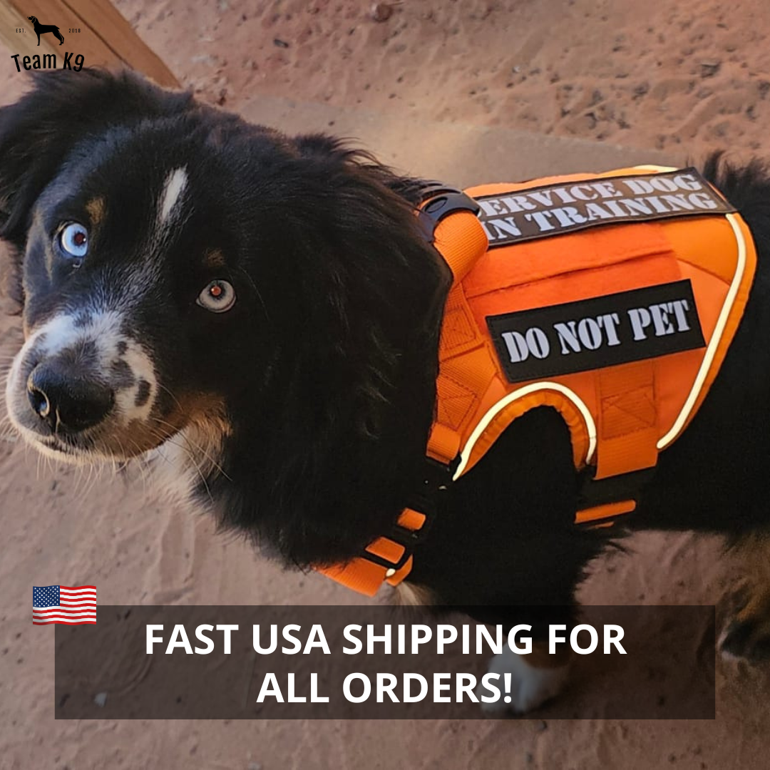 NEW Upgraded Tactical No-Pull Team K9™ Dog Harness with 4 Quick-Release Metal Buckles, Reinforced Front & Back D-Rings, Hook & Loop Panels, Adjustable Straps, Reflective Strips, & Top Handle
