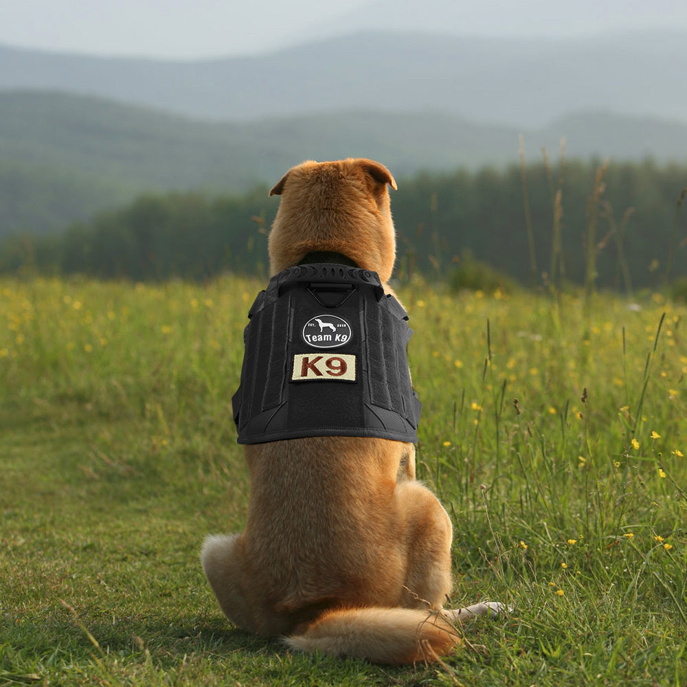 Classic Heavy-Duty Tactical No-Pull Team K9™ Dog Harness With Front & Back D-Rings, Quick-Release Metal-Buckles, Hook & Loop Panels, & Top Handle