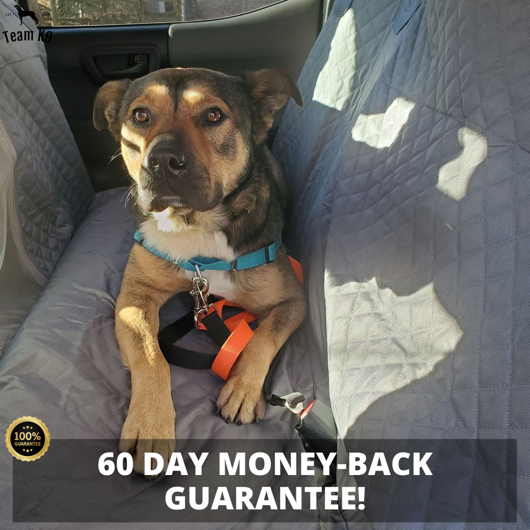 Waterproof Non-Slip Car Seat Hammock Cover With Pockets, Side Flaps, Headrest Straps, Seat-Anchors, & Mesh Window (+FREE SAFETY BELT!)