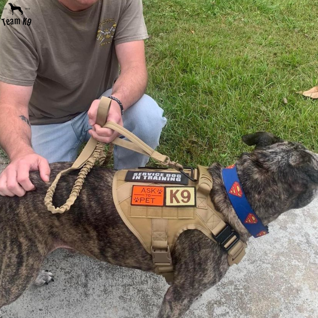 Classic Heavy-Duty Tactical No-Pull Team K9™ Dog Harness With Front & Back D-Rings, Quick-Release Metal-Buckles, Hook & Loop Panels, & Top Handle