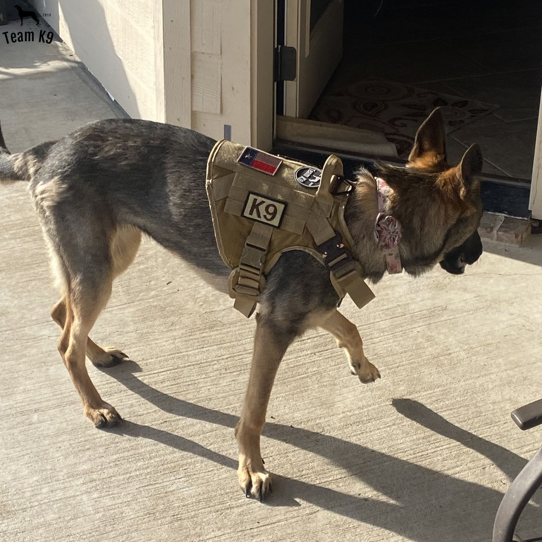 Classic Heavy-Duty Tactical No-Pull Team K9™ Dog Harness With Front & Back D-Rings, Quick-Release Metal-Buckles, Hook & Loop Panels, & Top Handle