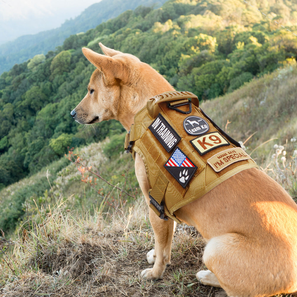 Classic Heavy-Duty Tactical No-Pull Team K9™ Dog Harness With Front & Back D-Rings, Quick-Release Metal-Buckles, Hook & Loop Panels, & Top Handle