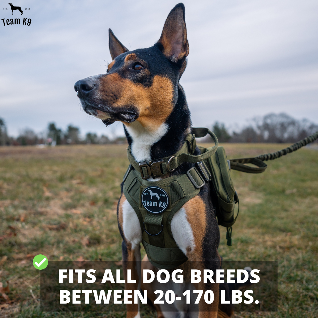 Classic Heavy-Duty Tactical No-Pull Team K9™ Dog Harness With Front & Back D-Rings, Quick-Release Metal-Buckles, Hook & Loop Panels, & Top Handle