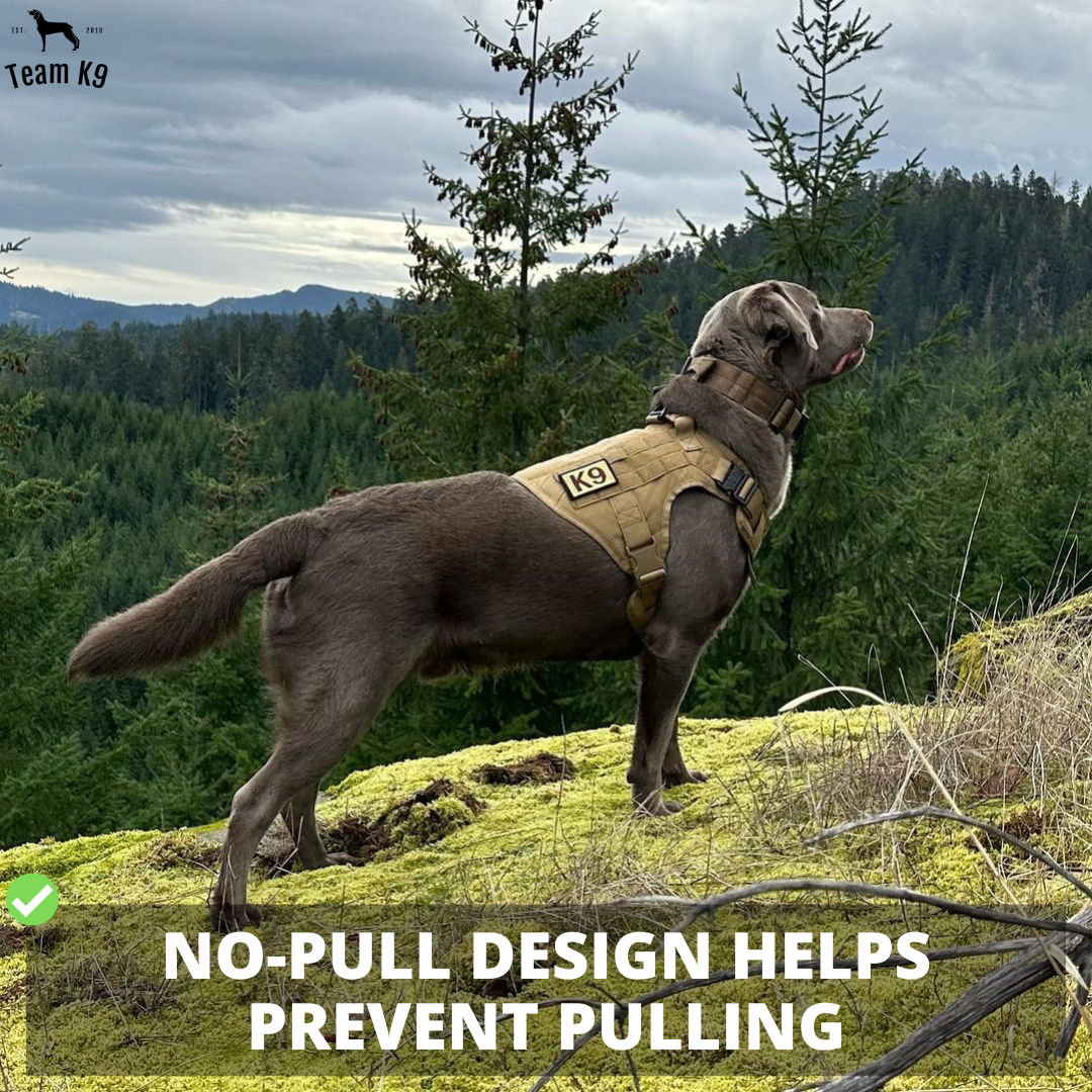 Classic Heavy-Duty Tactical No-Pull Team K9™ Dog Harness With Front & Back D-Rings, Quick-Release Metal-Buckles, Hook & Loop Panels, & Top Handle