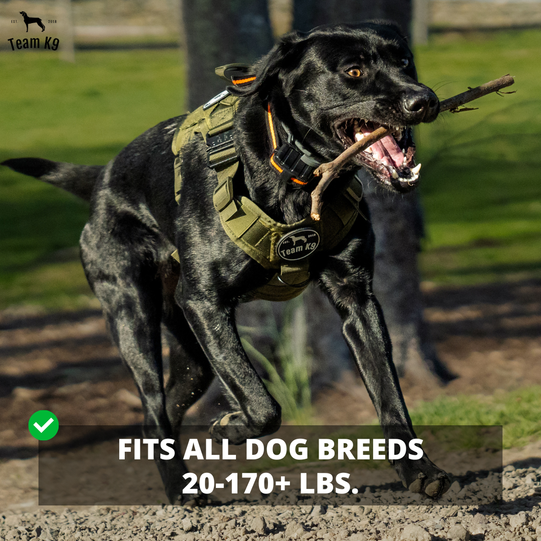 NEW Upgraded Tactical No-Pull Team K9™ Dog Harness with 4 Quick-Release Metal Buckles, Reinforced Front & Back D-Rings, Hook & Loop Panels, Adjustable Straps, Reflective Strips, & Top Handle