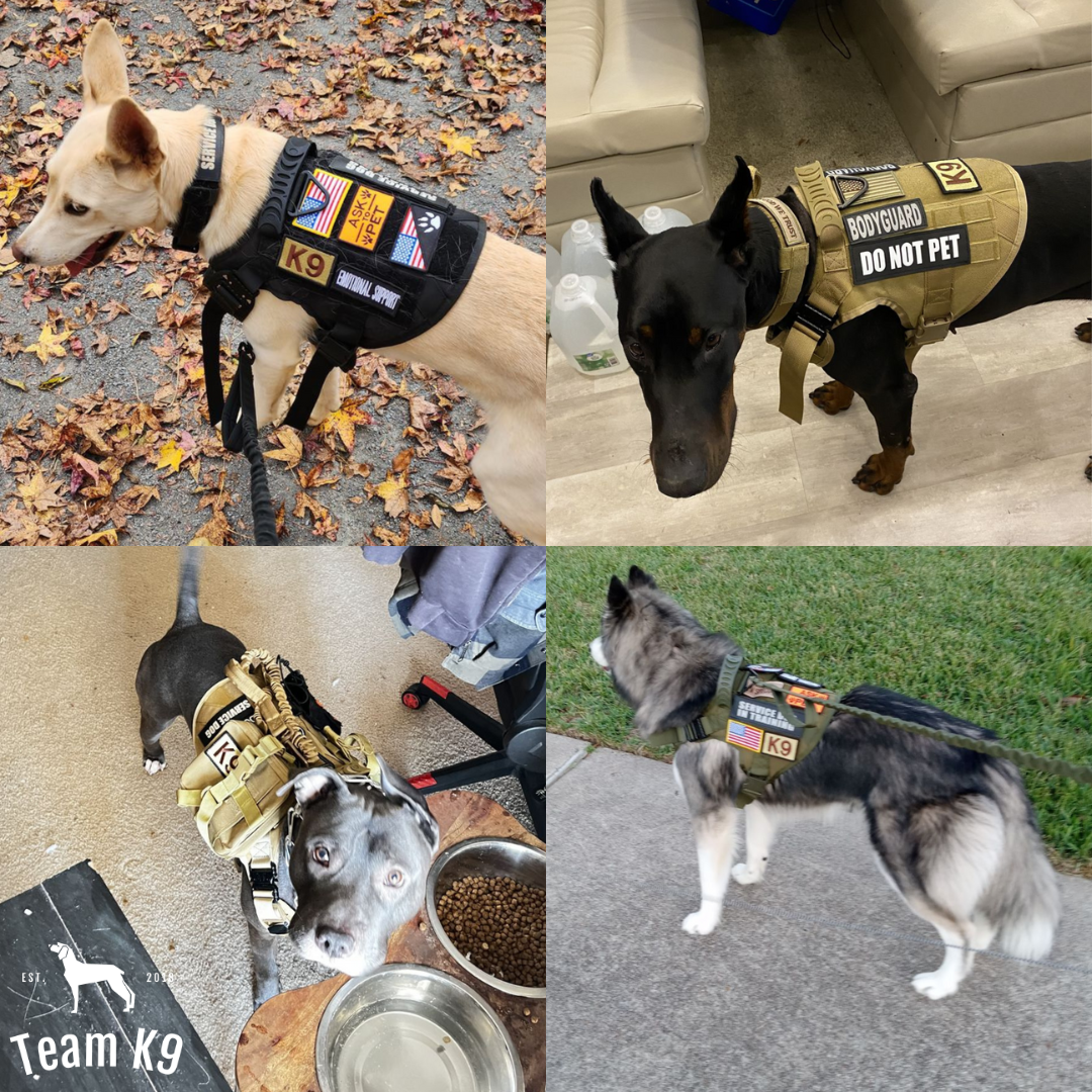 Classic Heavy-Duty Tactical No-Pull Team K9™ Dog Harness With Front & Back D-Rings, Quick-Release Metal-Buckles, Hook & Loop Panels, & Top Handle
