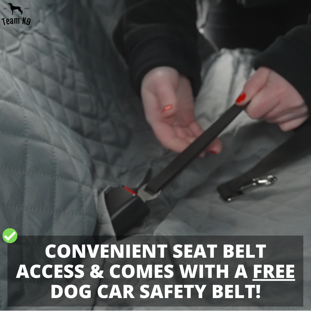 Waterproof Non-Slip Car Seat Hammock Cover With Pockets, Side Flaps, Headrest Straps, Seat-Anchors, & Mesh Window (+FREE SAFETY BELT!)