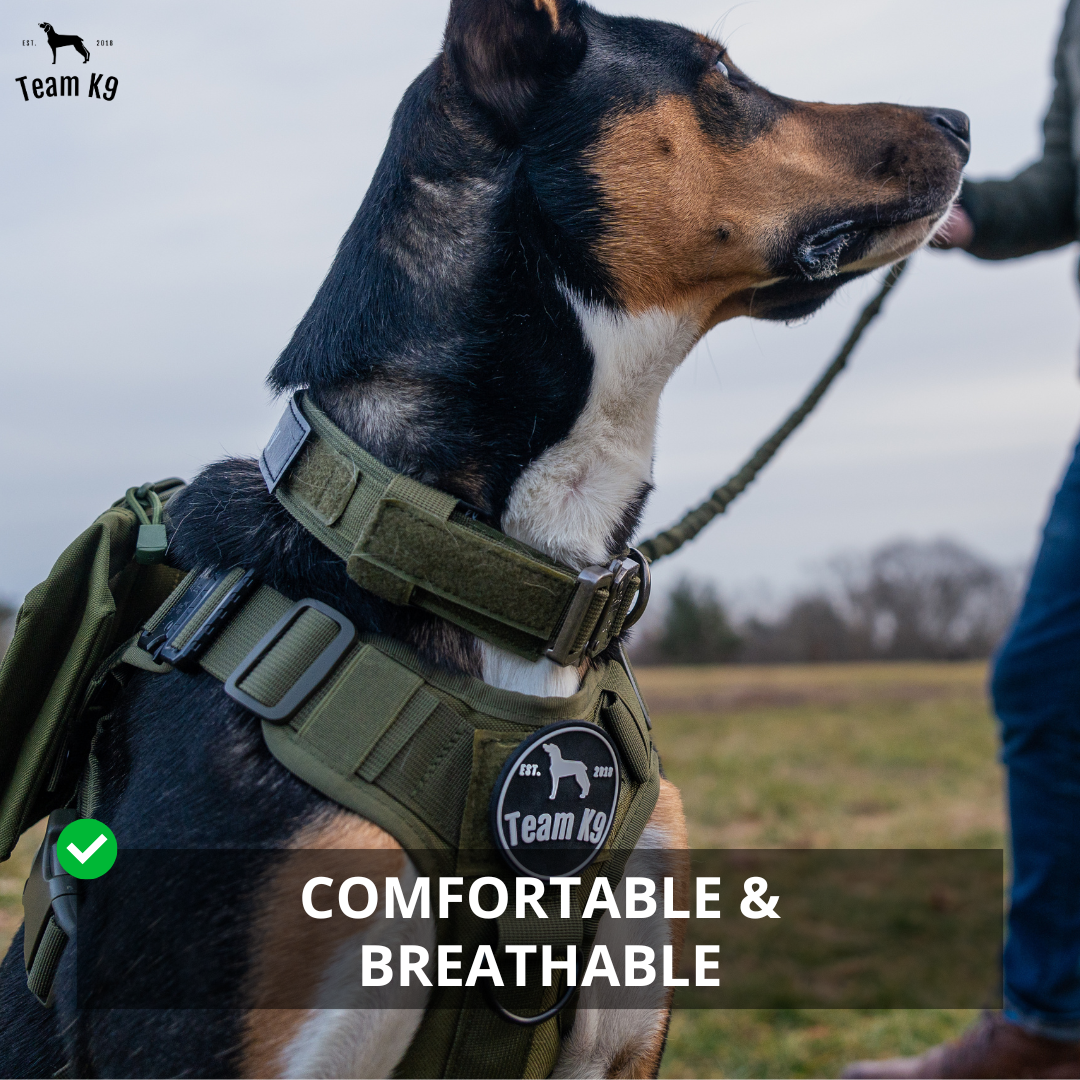 NEW Upgraded Tactical No-Pull Team K9™ Dog Harness with 4 Quick-Release Metal Buckles, Reinforced Front & Back D-Rings, Hook & Loop Panels, Adjustable Straps, Reflective Strips, & Top Handle