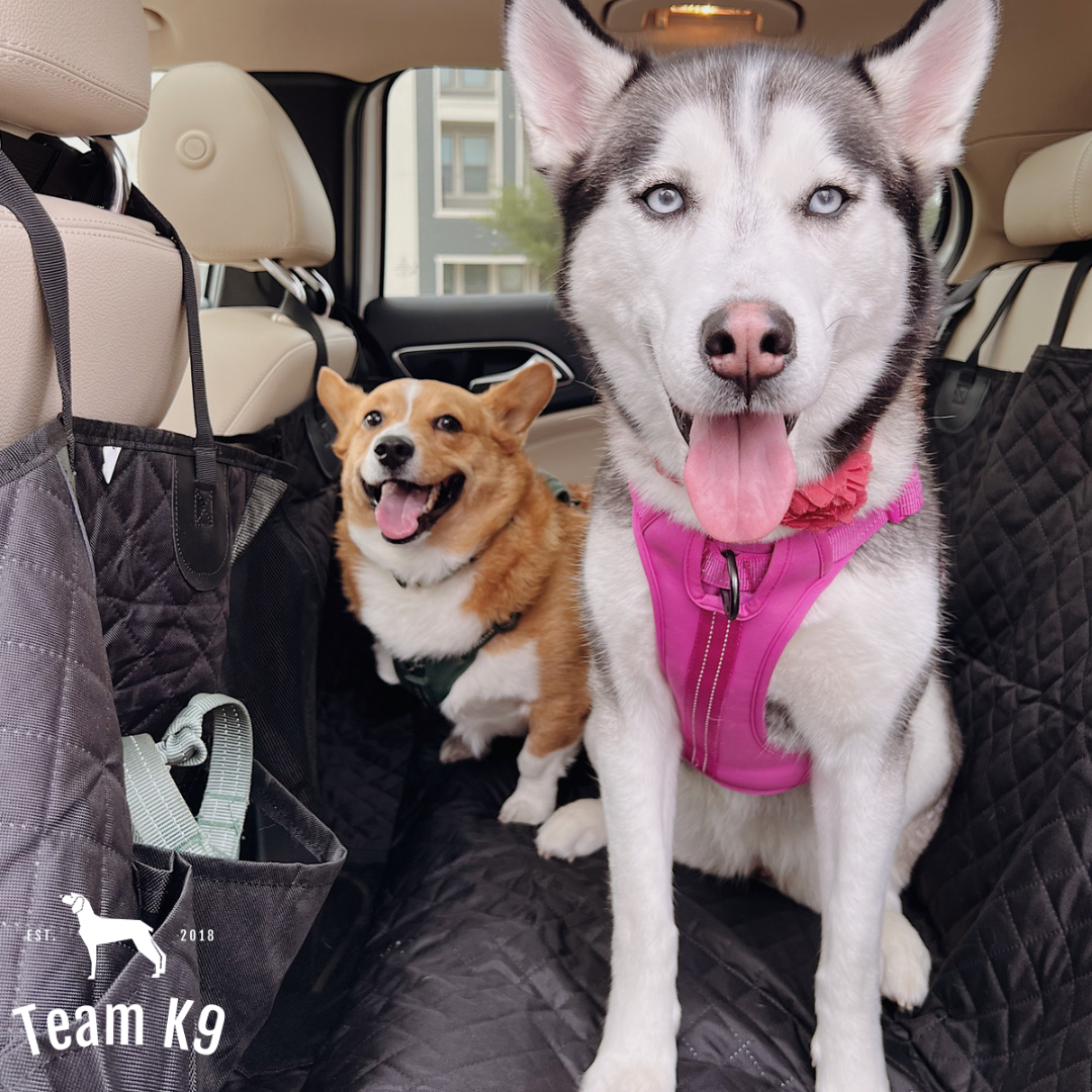 Waterproof Non-Slip Car Seat Hammock Cover With Pockets, Side Flaps, Headrest Straps, Seat-Anchors, & Mesh Window (+FREE SAFETY BELT!)