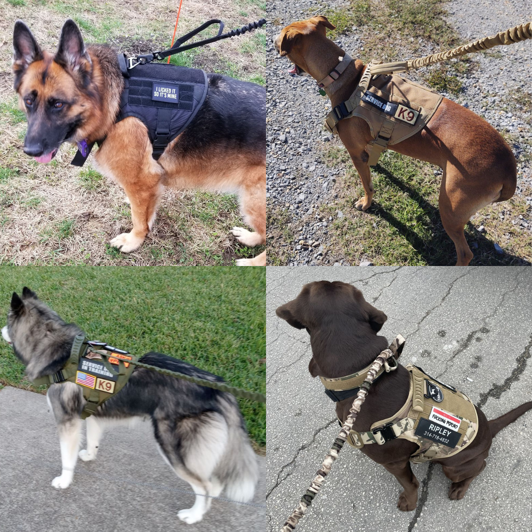 Heavy-Duty Double-Handle Tactical Bungee K9 Dog Leash