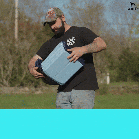 The Pool That Sets Up in 60 Seconds
